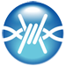 FrostWire 5.5.6 BitTorrentクライアント