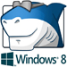 Windows 8 Codecs